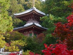 2014.11紅葉の京都へ役得出張旅行5終-新那智山観音寺（今熊野観音寺）の紅葉，帰京