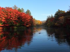 奥様ご満足 紅葉燃ゆる軽井沢の旅