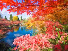 京都紅葉旅行（2014年11月）3泊4日～1日目：東福寺・天授庵・南禅寺・永観堂・高台寺など