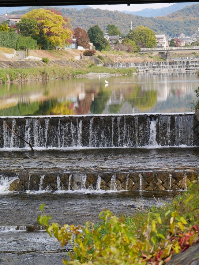 京都の紅葉が見てみたくてぶらり一人旅をしてきました。<br />今月はお金が無い…しかし、どうしても行きたい！<br />どうしたら格安で行けるだろう！！<br />調べてこのプランで行って来ました。<br /><br />＜1日目＞<br />【夜行バス(\4800) 東京駅23:10出発 → 京都駅　朝6時頃到着】<br /><br />＜2日目＞<br />・清水寺、東福寺<br />・嵐山周辺（渡月橋・天龍寺・竹林の道・常寂光寺・祇園寺）<br /><br />＜3日目＞<br />・鴨川（コーヒーブレイク＆早朝散歩）<br />・下鴨神社<br />・銀閣寺<br />・法然院<br />・南禅寺<br />・天授庵（ライトアップ）<br />・永観堂（外からのライトアップのみ）<br /><br />【夜行バス(\5800) 京都駅出発 22:30出発 → 秋葉原駅　5:40頃到着】<br />　　※ゆっくり休めるように行きのバスよりランクが高いものにしました。<br />　　　時間までラウンジで待つことが出来き、車内も充実しているのでお勧めです！