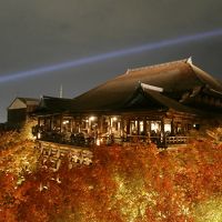 紅葉の京都めぐり2014