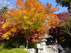 紅葉のちょい山歩き関西三日間（二日目）～楠木正成の地元、金剛山に観心寺から西行の寺、弘川寺は紅葉まっさかり。富田林の寺内町はおまけです～