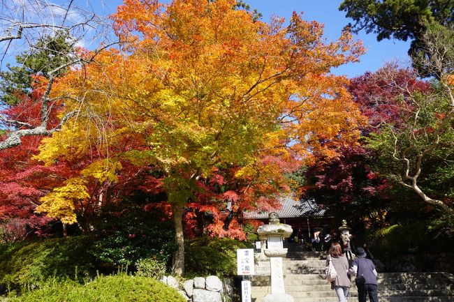 紅葉のちょい山歩き関西三日間 二日目 楠木正成の地元 金剛山に観心寺から西行の寺 弘川寺は紅葉まっさかり 富田林の寺内町はおまけです 河内長野 大阪 の旅行記 ブログ By たびたびさん フォートラベル