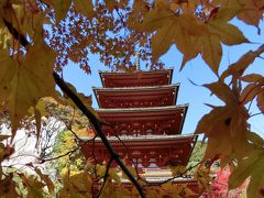 長谷寺の紅葉を見に行きました～2014秋の関西　vol.1