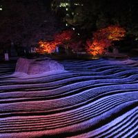 博多千年煌夜　ライトアップウォーク2014　　承天寺