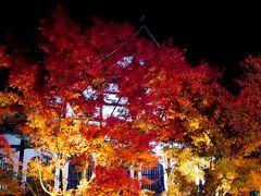 紅葉の京都へ役得出張旅行2-永観堂　禅林寺の夜の紅葉ライトアップ