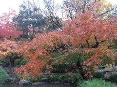 今が紅葉の見ごろ旧古河庭園