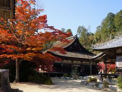 2014.11 近江・若狭の寺社・紅葉①～大池寺・善水寺