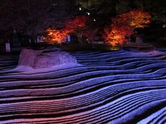 博多千年煌夜　ライトアップウォーク2014　　承天寺