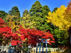 2014紅葉（9） 湖北の鶏足寺・石道寺・そして意冨布良神社の紅葉