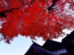 両子寺（ふたごじ）の紅葉