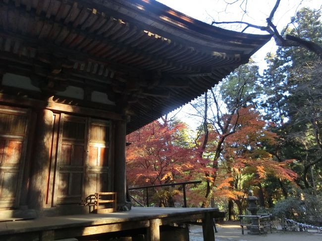 「台湾に行きたい！」<br />理由は、東京国立博物館で開催されていた特別展｢台北 國立故宮博物院－神品至宝－｣ 。<br />最初は1月の3連休を狙っていましたが、お高いので断念・・・だったら、年末年始の休暇を一部利用して行っちゃおう！<br />そうすると、今年の年末からのお休みは長く帰省できません。<br />家族と親戚に会う時間はあっても、友人に会う時間は無さそうです。<br /><br />だったら、もう1回帰ればいいじゃない？<br />11月後半の3連休なら休出はなさそうだし、運がよければ紅葉も見られるし。<br />というわけで、急遽関西へ。<br /><br />----------------------------------------<br />旅行記1　http://4travel.jp/travelogue/10955890<br />　22日<br />　　長谷寺<br />旅行記2<br />　22日<br />　　室生寺<br />旅行記3<br />　23日<br />　　依水園<br />旅行記4<br />　23日<br />　　焼き肉<br />　24日<br />　　大阪城→オフ会（栗酢豚withガブちゃん）<br />----------------------------------------<br /><br />初日は、紅葉の見ごろが始まった奈良の中部へ。<br />期間限定で休日は長谷寺と室生寺の間の直行バスが走るというので、両方を見るために利用しました。