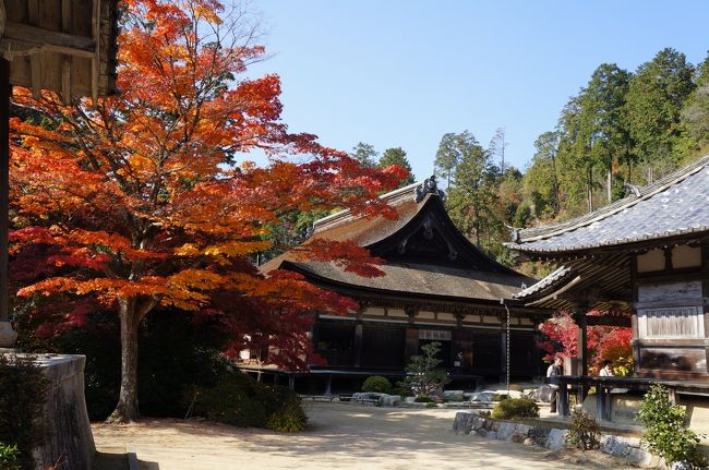 2014.11 近江・若狭の寺社・紅葉①～大池寺・善水寺