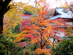 信貴生駒スカイラインから信貴山へ　小雨でも綺麗な紅葉鑑賞