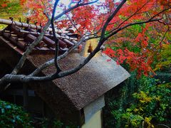 2014年11月後半の３連休　京都の紅葉巡り