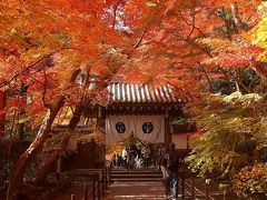 京都・西山三山を巡りました。紅葉バージョン！（ダイジェスト版）