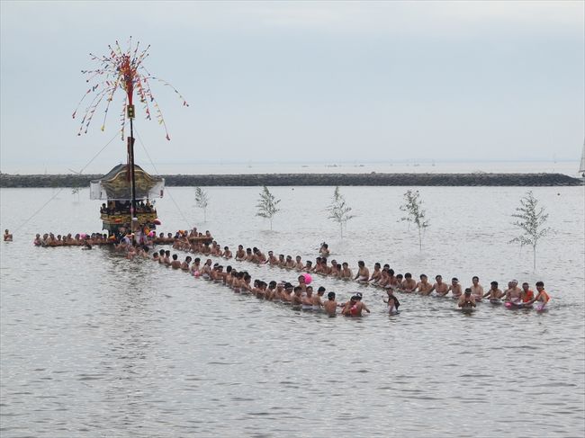 2014/10/25〜10/26に行われた愛知県蒲郡市の八剱神社と若宮神社の祭礼で元禄時代から伝わる三谷祭りです。<br />二日目に見に行きました。4台の山車が海を渡る海中渡御が有名で、外国からの観光客も訪れます。<br />生憎の曇りから雨の天気で、雨具を持っていなかった私は早々に引き上げましたが、氏子衆は最後までやり遂げたようです。<br /><br />三谷祭りの公式ＨＰ<br />http://www.38fes.jp/index.html<br /><br />海中渡御から若宮神社境内の神楽奉納までの動画が下記に有ります。<br />2014 三谷祭り (1) 海中渡御<br />http://youtu.be/yaWN4lX0PKY<br />2014 三谷祭り(2) 行幸<br />http://youtu.be/G6sHS4Fl3GY<br />2014 三谷祭り(3) 神楽<br />http://youtu.be/IZEGII3mVDw<br />2014 三谷祭り(4) 神楽<br />http://youtu.be/ut7nUXm0Jl0<br />2014 三谷祭り(5) 神楽<br />http://youtu.be/WhUzBnEE2M0