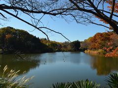 横浜の紅葉　２０１４　三ッ池公園、三溪園、馬場花木園