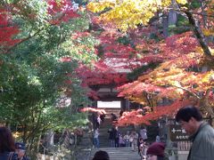 秋深まる京都・香嵐渓・湖東三山となばなの里イルミネーション３日間ー３日目最終日