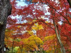 修善寺で紅葉を見てきました 2014.11.24 =4.虹の郷・日本庭園～伊豆の村=
