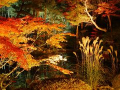 紅葉を見にチョット京都まで【銀閣寺方面編】♪初京都は最高に綺麗でした！