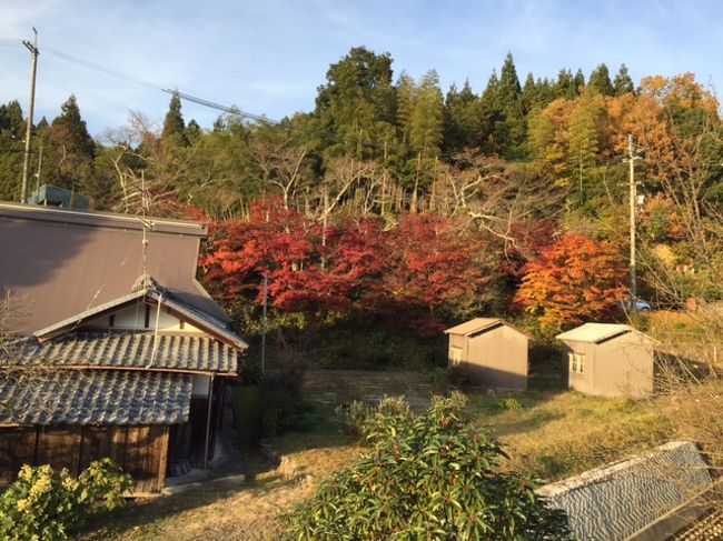 仕事の途中。長浜市木之本町石道（いしみち）に道草してきました。<br />道草しても、一応私を怒る人は会社にいないということで・・・！<br />ここには、重要文化財の十一面観音がある石道寺（しゃくどうじ）があります。<br />隣の集落古橋には、鶏足寺があり散策道がつながっています。<br />結構多くの方が、お見えになっていました。<br />大型バスが数台。「道で乗降さすな」と思いつつ石道へ。<br />集会所でこれ以上上に行けないと案内の方に言われ石道寺へは、結構な坂なので<br />やめにし、近くを眺めると結構綺麗です。<br />山村風景が、心落ち着かせてくれます。<br /><br />結局、山道がどうこう思いながら鶏足寺まで往復歩いてしましました。