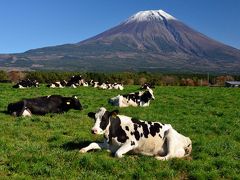 富士山麓をグル～リ一周ドライブで富士山ビューポイントを巡る