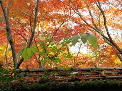 紅葉の京都 2014  （2） ・・・