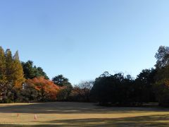 晩秋の東京　１．ボリショイ・バレエ　白鳥＠オーチャードH　２．シタディーン新宿泊　３．小春日和の新宿御苑散策　４．国宝展後期展示＠東博　５．N響定期Bプロ＠SH