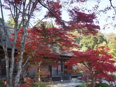 2014.11 近江・若狭の寺社・紅葉②～常楽寺・長寿寺