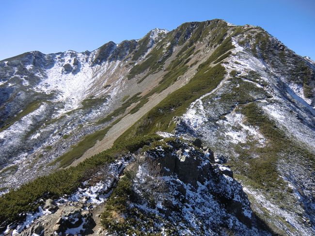 日本百名山の一つ<br />仙丈ケ岳は<br />『男性的な山容を見せる北岳や駒ヶ岳(甲斐駒)とは対照的に<br />ゆるやかな山稜が特徴の仙丈ヶ岳は三つのカールを抱えた優美な山容が特徴で<br />「南アルプスの女王」とも言われています』<br />標高3033ｍ<br />標高差1194ｍ　距離8.0㎞です<br />秋の山最高ですね！！！