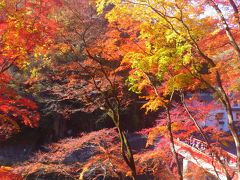 2014.11月　日帰り 香嵐渓