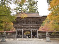 おしどり夫婦の紅葉　大矢田もみじ谷（大矢田神社）