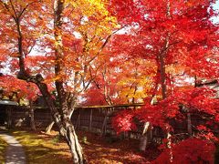 2014年京都の紅葉　常寂光寺と宝厳院