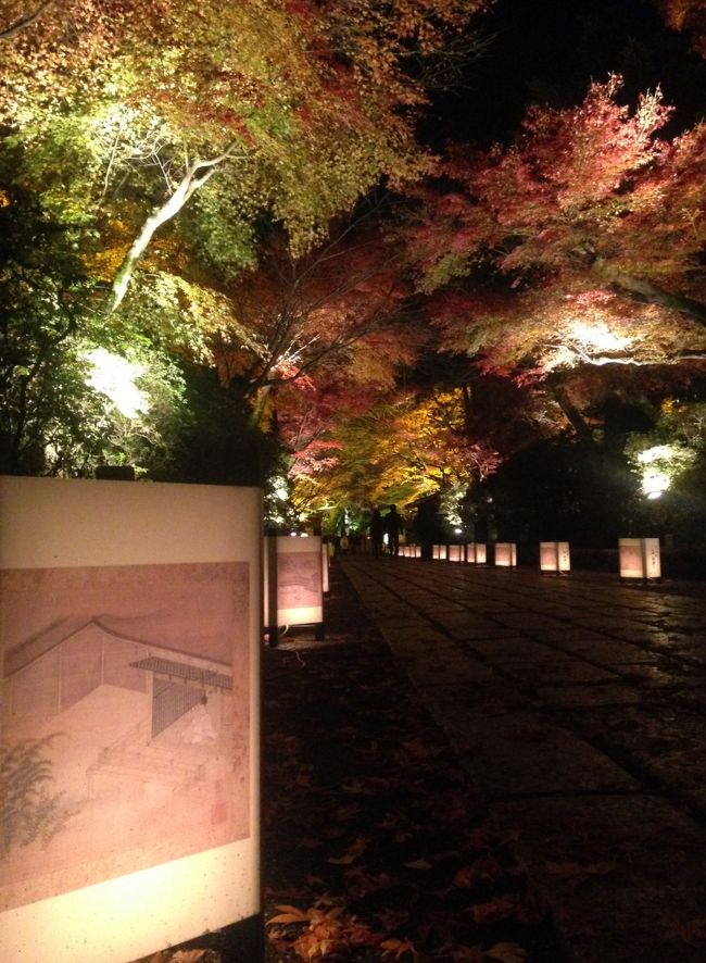 石山寺さんの紅葉ライトアップを見に行くついでに<br />琵琶湖沿いのライトアップもプラスした旅行記です。<br /><br />・石山寺さんのライトアップは幻想的で、<br />　ライトに照らされた紅葉がモコモコした迫力あるものでした。<br /><br />石山寺紅葉公式サイト<br />http://www.ishiyamadera.or.jp/ishiyamadera/gyouji/momiji/index2014.html<br /><br />・びわ湖大津館のライトアップは<br />　メインはイングリッシュガーデン内ですが、<br />　琵琶湖の景色も楽しめる良い場所です。<br /><br />びわ湖大津館公式サイト<br />http://biwako-otsukan.jp/<br /><br />・びわ湖ホール前の琵琶湖に浮かんだイルミネーションや<br />　瀬田の唐橋近くにある唐橋公園内のイルミネーションも<br />　無料で楽しめる良いイルミネーションでした。<br /><br />