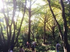 「紅葉×鎌倉」秋の鎌倉天園ハイキングコースを歩く！