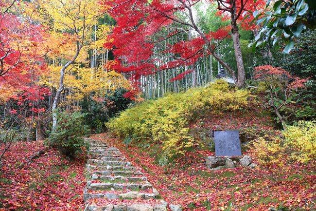 そろそろ散紅葉でも見れるかなと思い，候補を数ヶ所ピックアップ。<br />宝厳院・厭離庵・直指庵の紅葉です。<br />とはいうものの，一番見応えがあった直指庵の写真が半分ぐらい占めていますけど。<br />