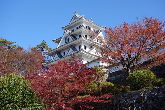 岐阜訪問14 美濃市 紅葉の郡上八幡 郡上八幡 岐阜県 の旅行記 ブログ By 赤い彗星さん フォートラベル