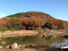 甲山ハイキング