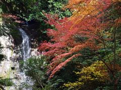 紅葉の桃尾の滝、大親寺、天理ダム