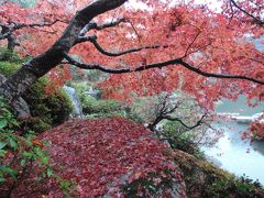 湖東三山（百済寺、金剛輪寺、西明寺）の紅葉をみてきました。