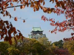 大阪城の紅葉を見てから、４トラ仲間と女子会～2014秋の関西　vol.4