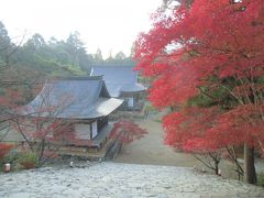 高雄・仁和寺・延暦寺の紅葉の旅　