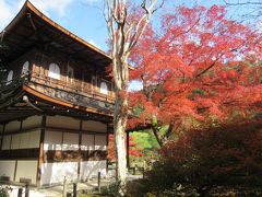 紅葉の京都2014　～その２　銀閣寺、哲学の道～