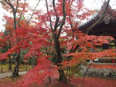 紅葉の京都　2014