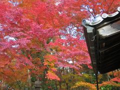 2014錦秋♪京都で紅葉狩り＜第2日＞東福寺→御寺泉涌寺→南禅寺→永観堂