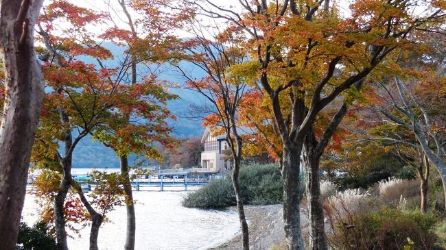 　前編にひきつづき紅葉の箱根である。前回は大平台までだが、今回いよいよ箱根芦ノ湖から遊覧船めぐりへと進む。<br />大平台からはバスで国道１号線をゆき、元箱根の遊覧船乗り場へ。時間があれば関所や箱根園も廻りたかったが、もう午後３時ではそれもかなわず、それは春になったらとしよう。　<br />　そして帰りは桃源台から高速バス、地獄の東名渋滞を４時間以上かけて東京まで帰ったのであった。<br />　　<br />　今回の旅程評価、「失敗」。