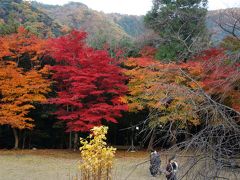 2014.11 近江・若狭の寺社・紅葉⑤～神宮寺・萬徳寺