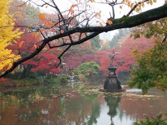 日比谷公園の紅葉