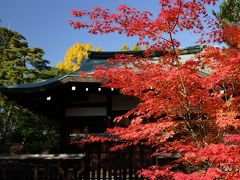錦繍の京都　御室から金閣寺